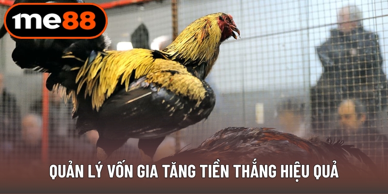 Quản lý vốn gia tăng tiền thắng hiệu quả